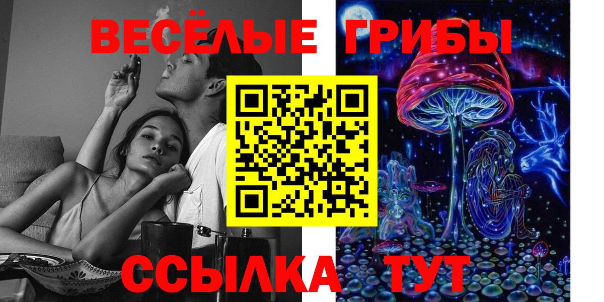 Псилоцибиновые грибы GOLDEN TEACHER Ишим